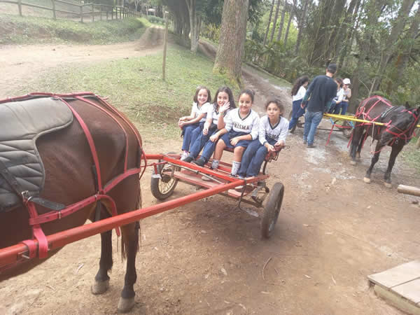 Bicho Mania 2022